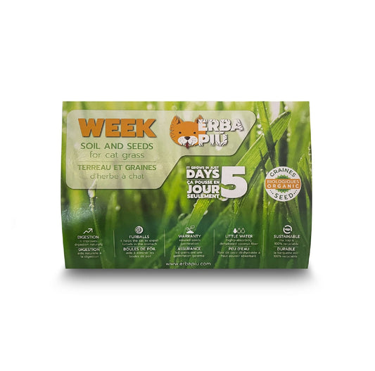 ERBA PIU Week Soil and Seeds Kit for Cat Grass