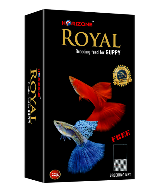 HORIZONE Royal Guppy Food (22g)