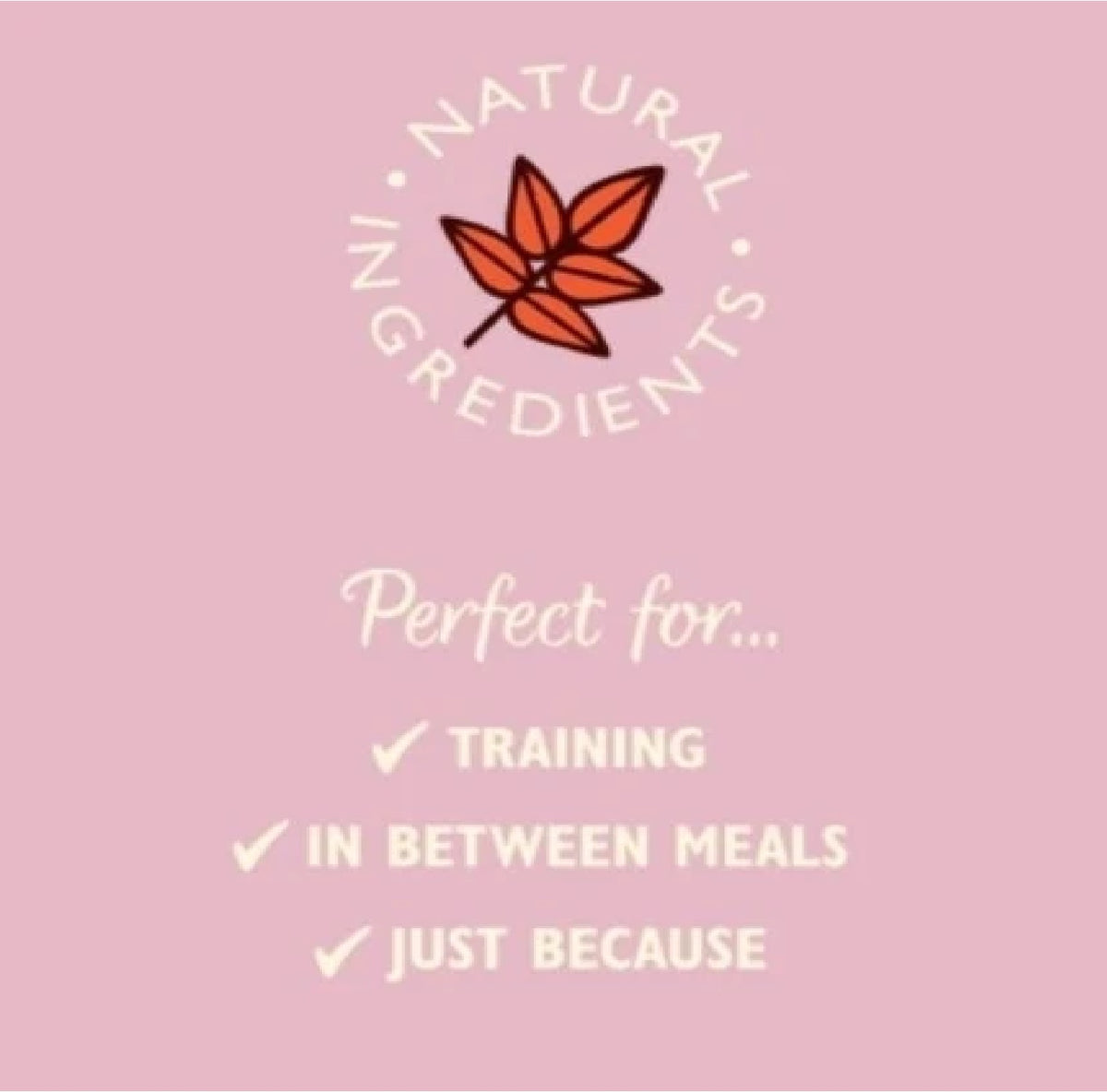 LILY'S KITCHEN Chicken and Salmon Nibbles Puppy Treats 70G