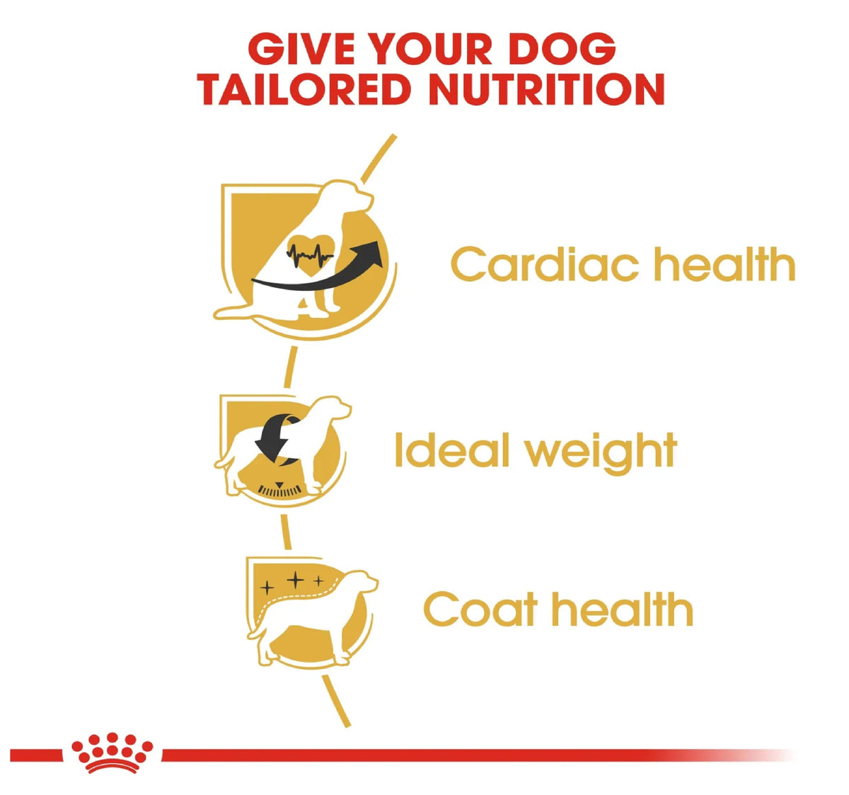 ROYAL CANIN Breed Health Nutrition Cavalier King Charles Adult 1.5 kg