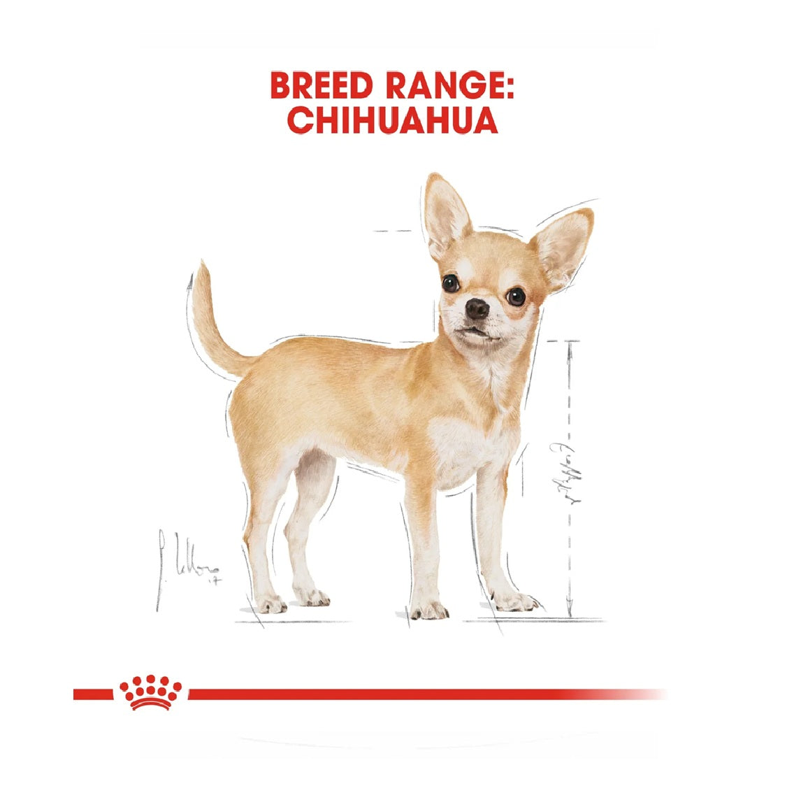 ROYAL CANIN Breed Health Nutrition Chihuahua Adult 1.5 kg