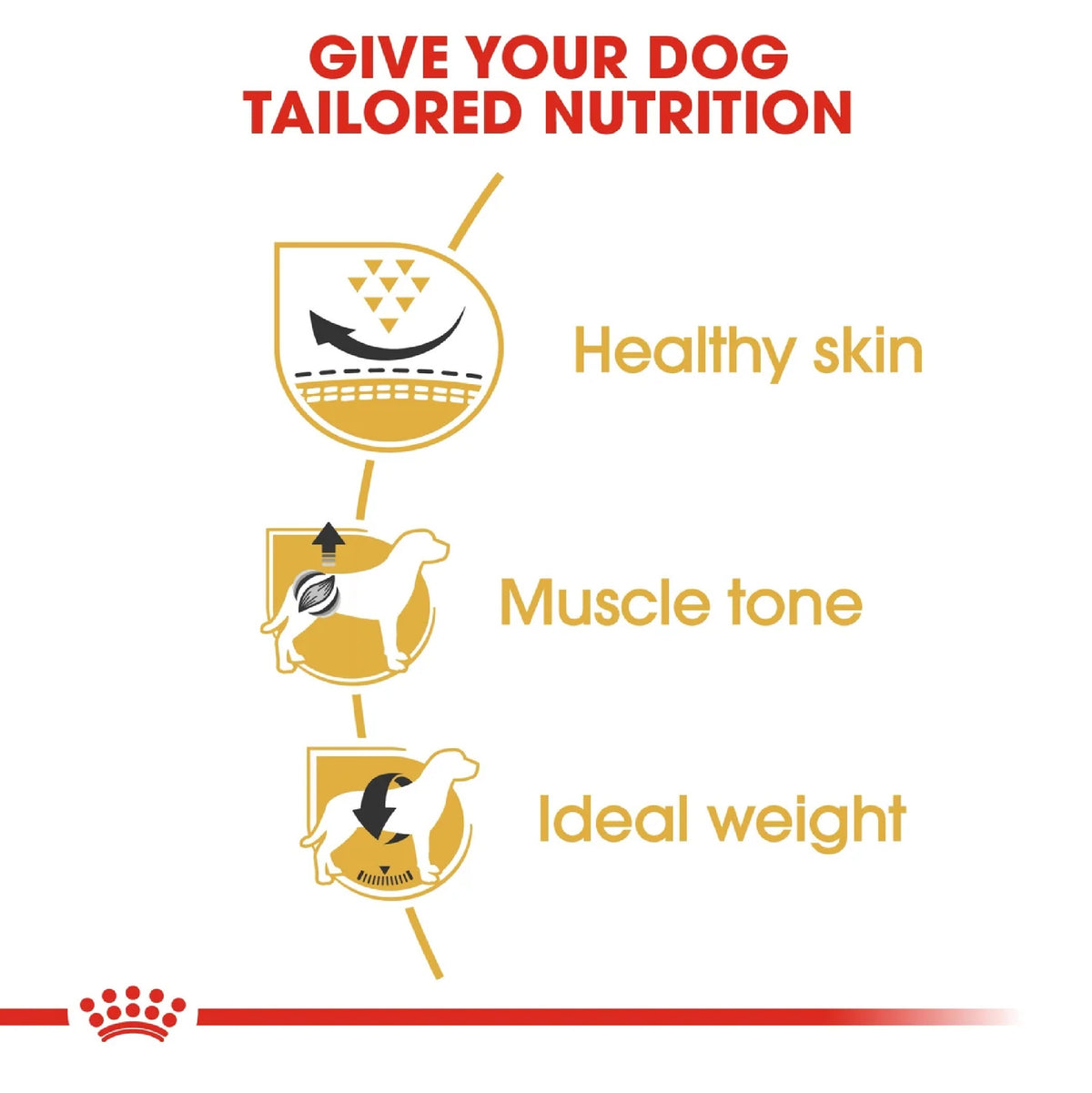 ROYAL CANIN Breed Health Nutrition Pug Adult