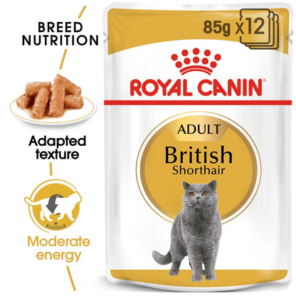 ROYAL CANIN Feline Breed Nutrition British Shorthair (Wet Food - Pouches) 12 x 85 g