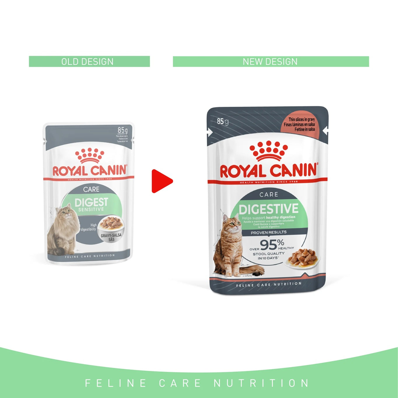 ROYAL CANIN Feline Care Nutrition Digest Sensitive Gravy (Wet Food - Pouches) 12 x 85 g