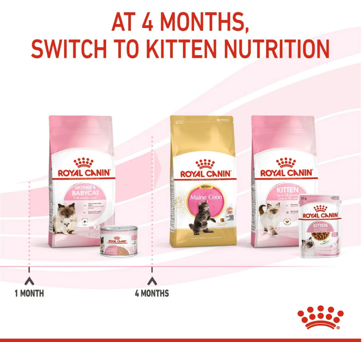 ROYAL CANIN Feline Health Nutrition Mother & Babycat Mousse (Wet Food - Cans) 195 g