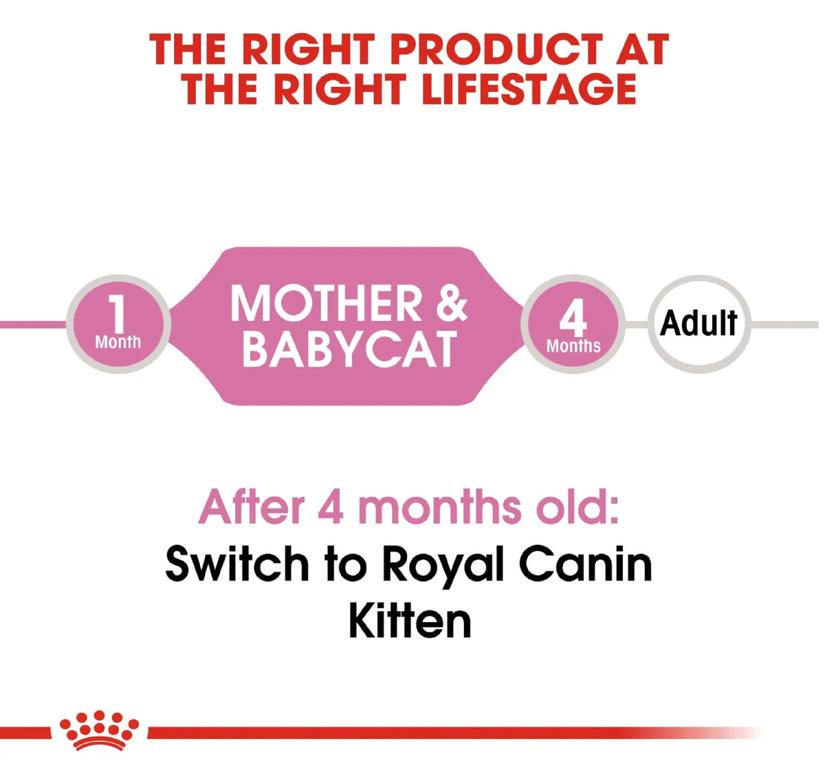 ROYAL CANIN Feline Health Nutrition Mother & Babycat Mousse (Wet Food - Cans) 195 g