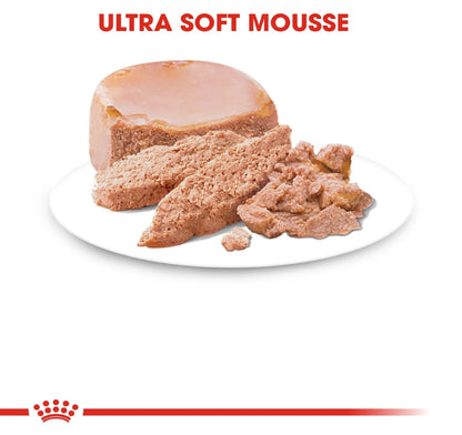 ROYAL CANIN Feline Health Nutrition Mother & Babycat Mousse (Wet Food - Cans) 195 g