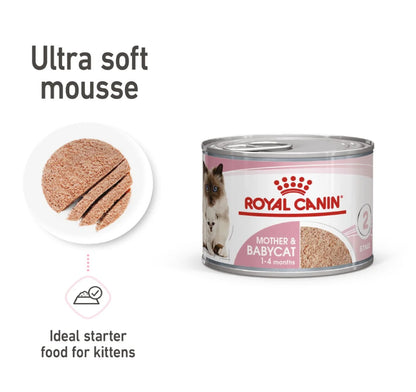 ROYAL CANIN Feline Health Nutrition Mother & Babycat Mousse (Wet Food - Cans) 195 g