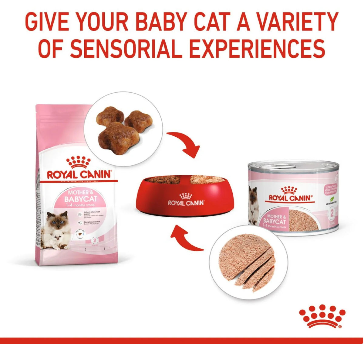 ROYAL CANIN Feline Health Nutrition Mother & Babycat Mousse (Wet Food - Cans) 195 g
