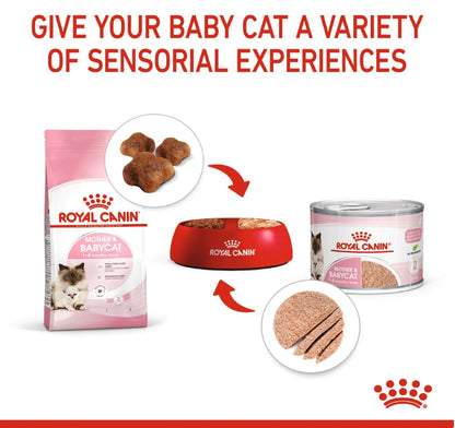 ROYAL CANIN Feline Health Nutrition Mother & Babycat Mousse (Wet Food - Cans) 195 g
