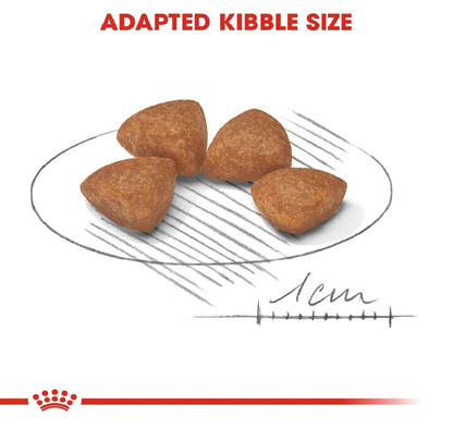 ROYAL CANIN Size Health Nutrition XS Puppy 1.5 kg