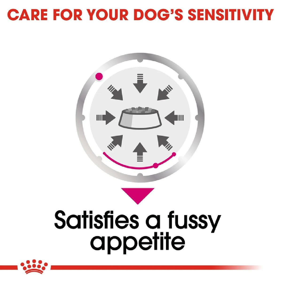 ROYAL CANIN Canine Care Nutrition Exigent (Wet Food- Pouches) 12 x 85 g