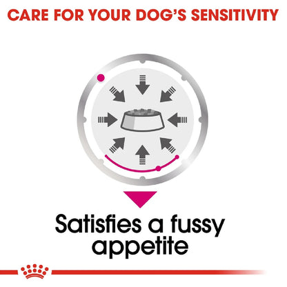 ROYAL CANIN Canine Care Nutrition Exigent (Wet Food- Pouches) 12 x 85 g