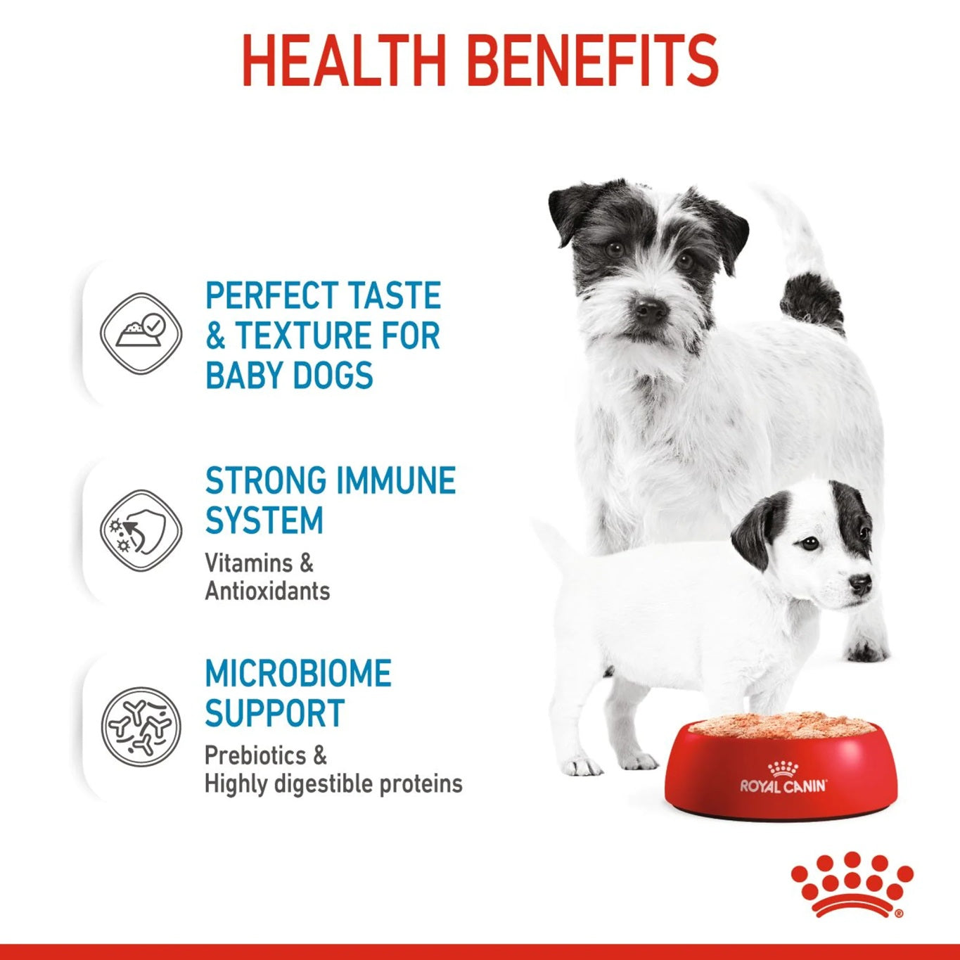ROYAL CANIN Canine Health Nutrition Starter Mousse (Wet Food - Cans) 12 x 195 g