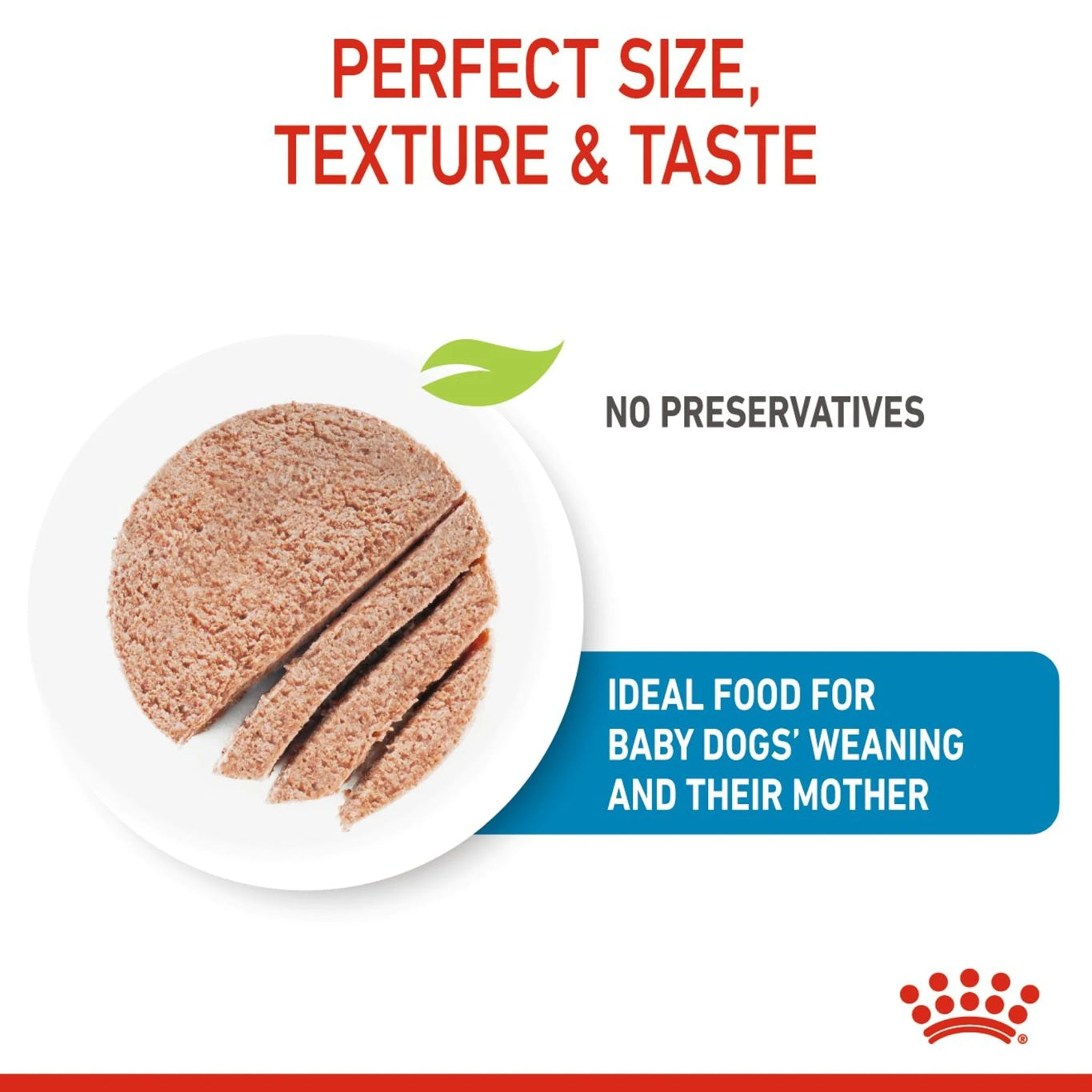 ROYAL CANIN Canine Health Nutrition Starter Mousse (Wet Food - Cans) 12 x 195 g