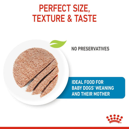 ROYAL CANIN Canine Health Nutrition Starter Mousse (Wet Food - Cans) 12 x 195 g