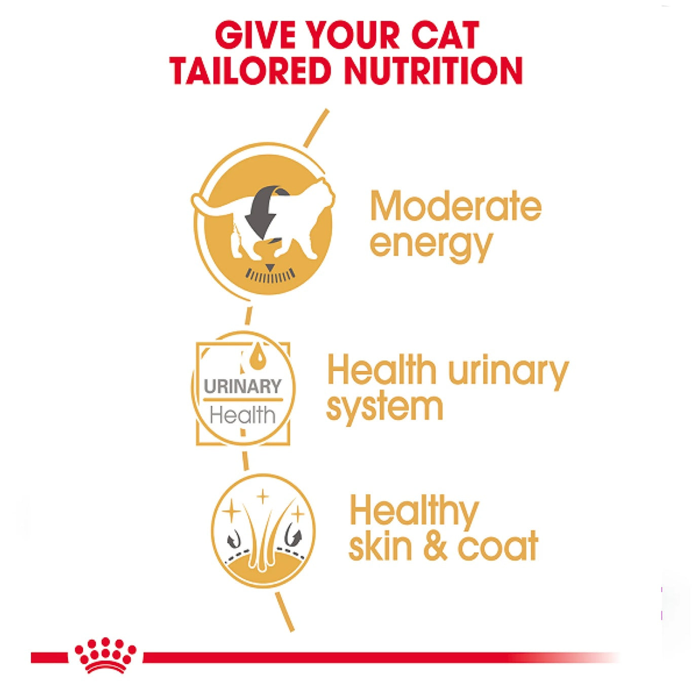 ROYAL CANIN Feline Breed Nutrition British Shorthair (Wet Food - Pouches) 12 x 85 g