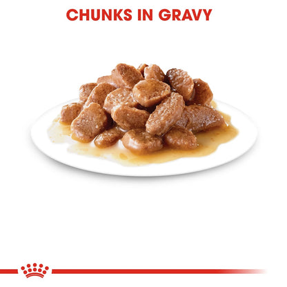 ROYAL CANIN Feline Care Nutrition Digest Sensitive Gravy (Wet Food - Pouches) 12 x 85 g