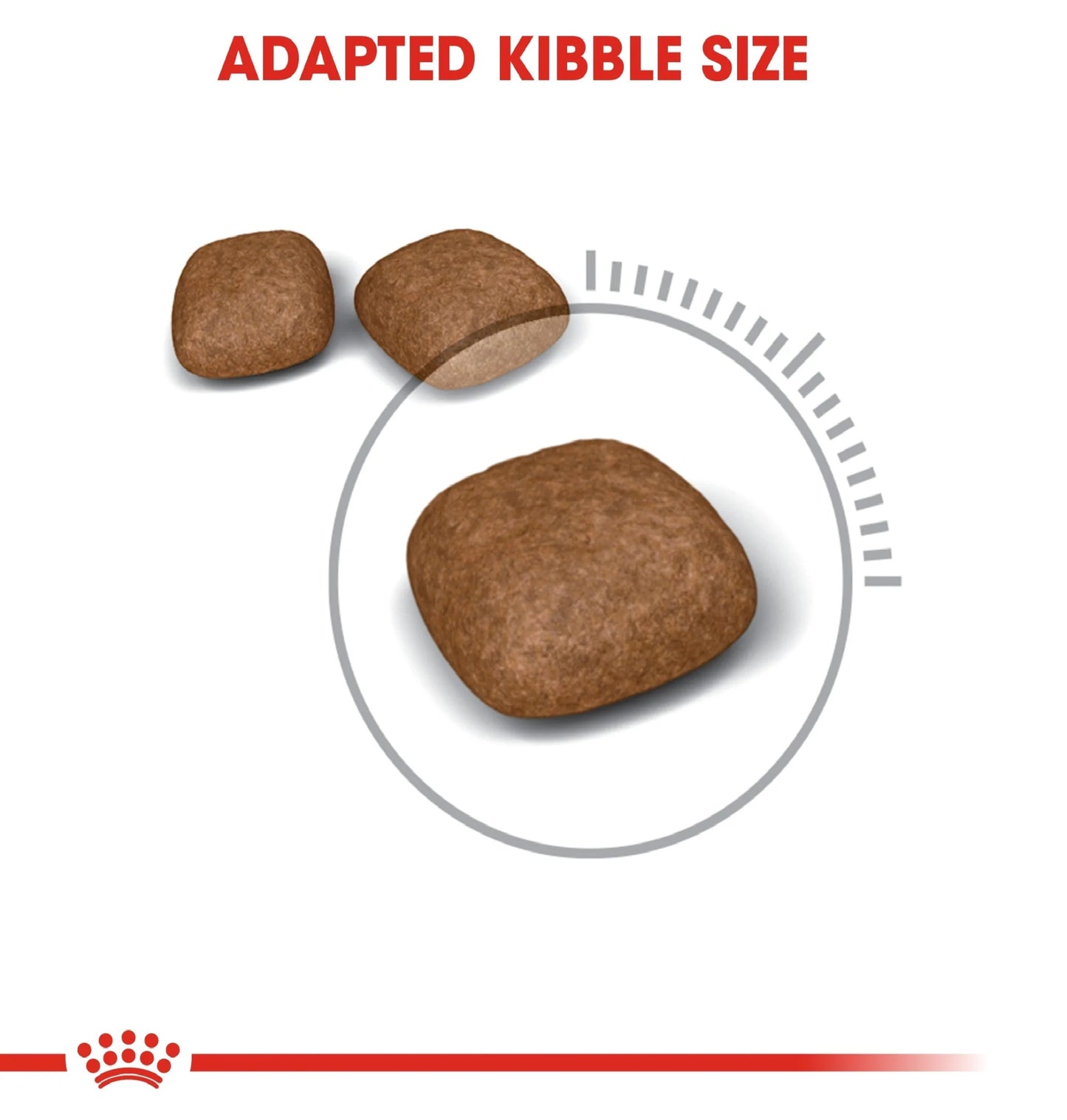 ROYAL CANIN Feline Care Nutrition Urinary Care