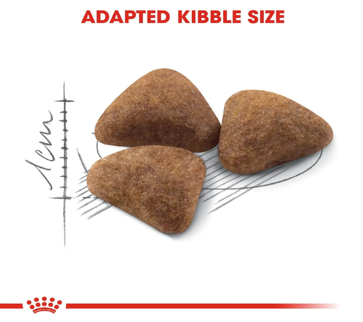 ROYAL CANIN Feline Health Nutrition Indoor 4kg