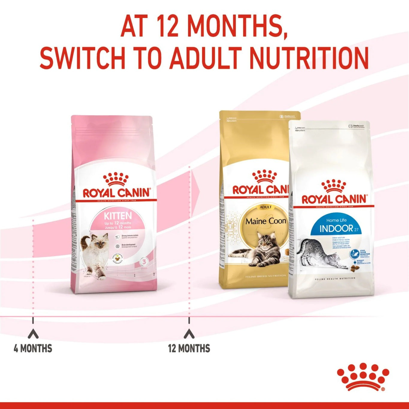 ROYAL CANIN Feline Health Nutrition Kitten