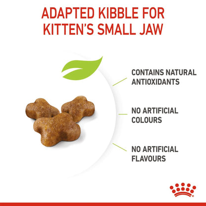 ROYAL CANIN Feline Health Nutrition Kitten