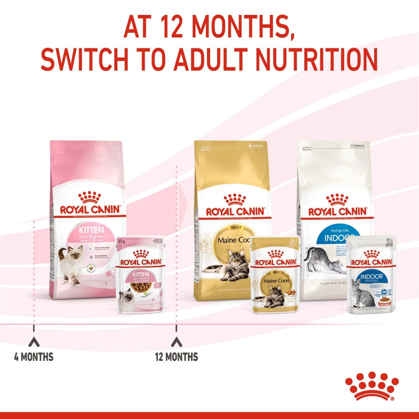 ROYAL CANIN Feline Health Nutrition Kitten Gravy (Wet Food - Pouches) 12 x 85 g
