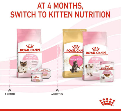 ROYAL CANIN Feline Health Nutrition Mother & Babycat 2kg