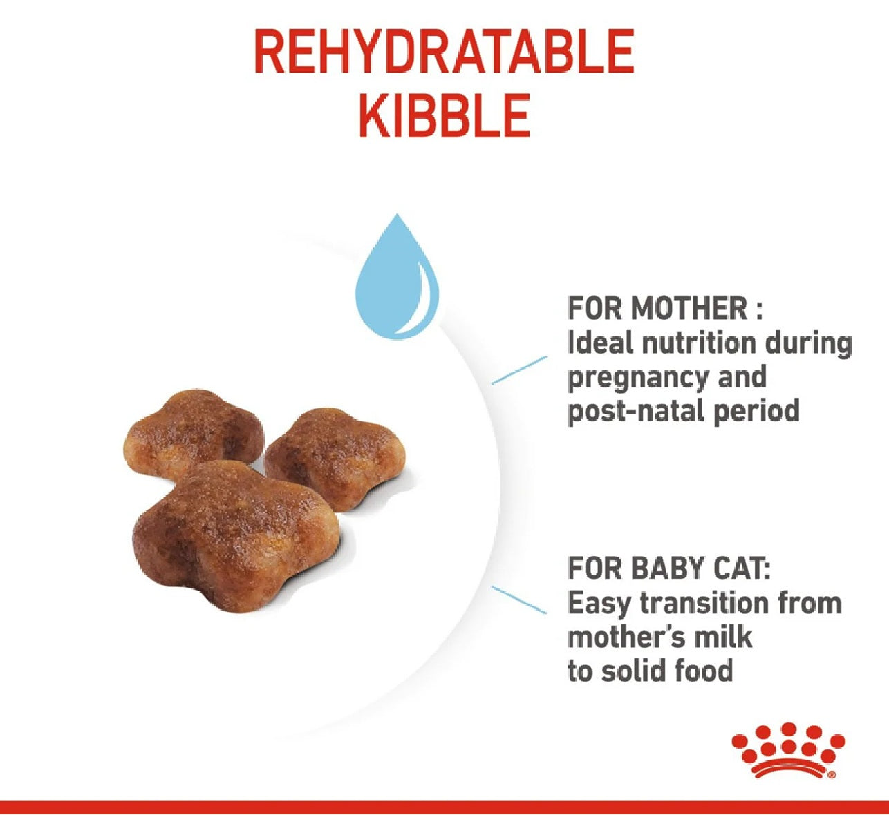 ROYAL CANIN Feline Health Nutrition Mother & Babycat 2kg
