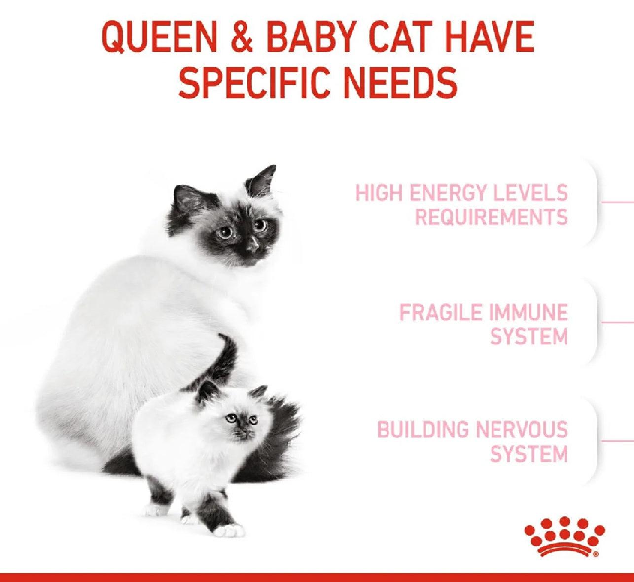 ROYAL CANIN Feline Health Nutrition Mother & Babycat 2kg
