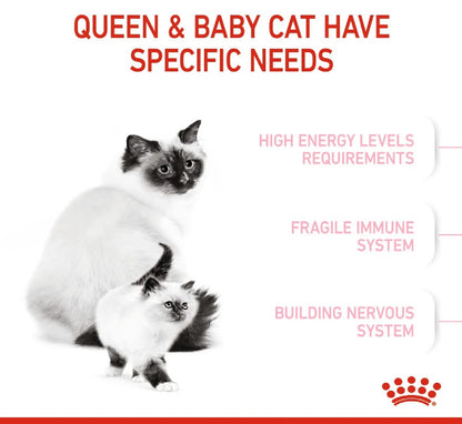 ROYAL CANIN Feline Health Nutrition Mother & Babycat 2kg