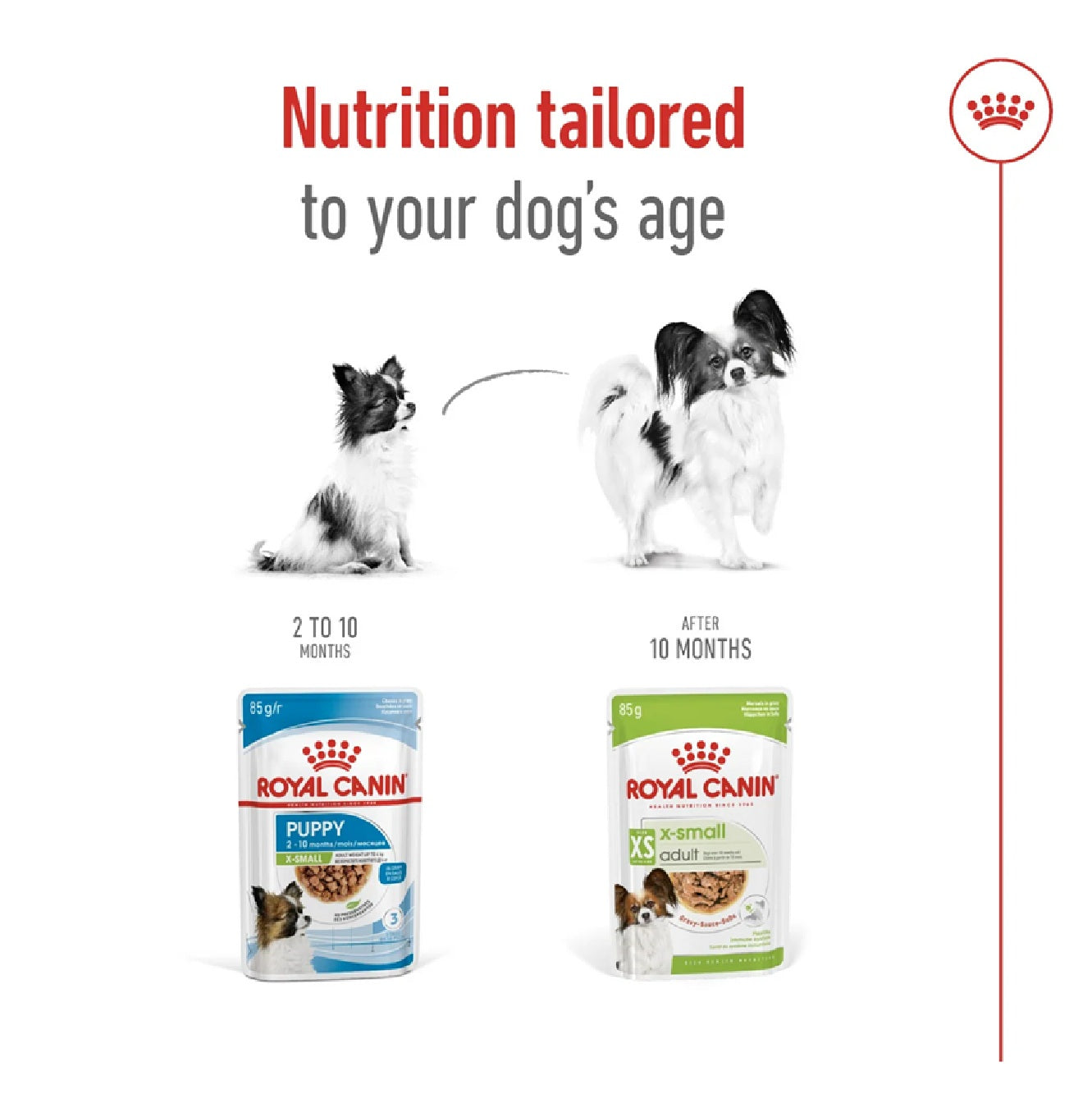 ROYAL CANIN Size Health Nutrition XS Adult (Wet Food - Pouches) 12 x 85 g