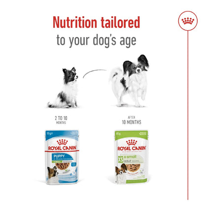 ROYAL CANIN Size Health Nutrition XS Adult (Wet Food - Pouches) 12 x 85 g