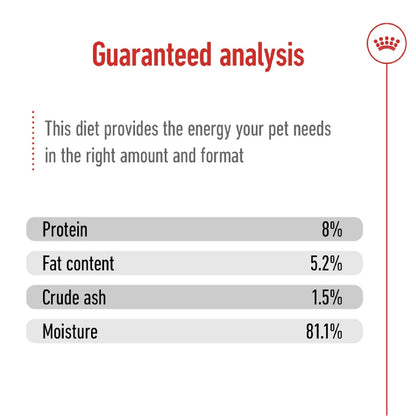 ROYAL CANIN Size Health Nutrition XS Adult (Wet Food - Pouches) 12 x 85 g