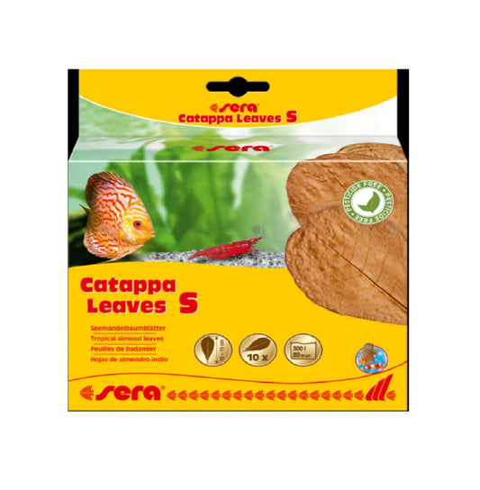 SERA Catappa Leaves (10pcs leaves)