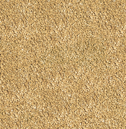 SERA Betta Granules 50 ml