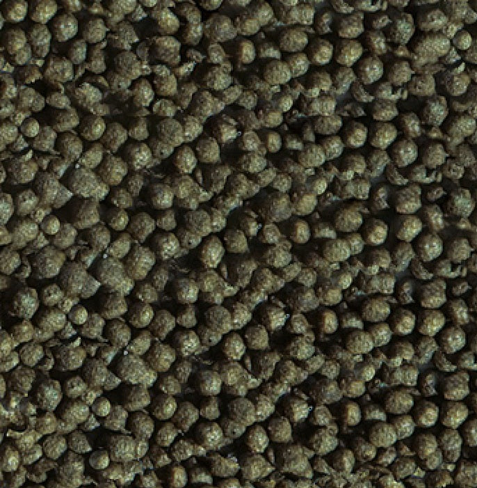 SERA Goldfish Color Granules 250ml (90g)