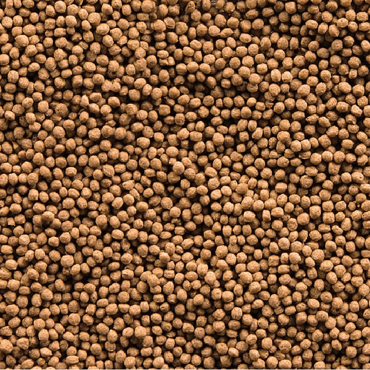 SERA Goldy Granules Nature 1000ml