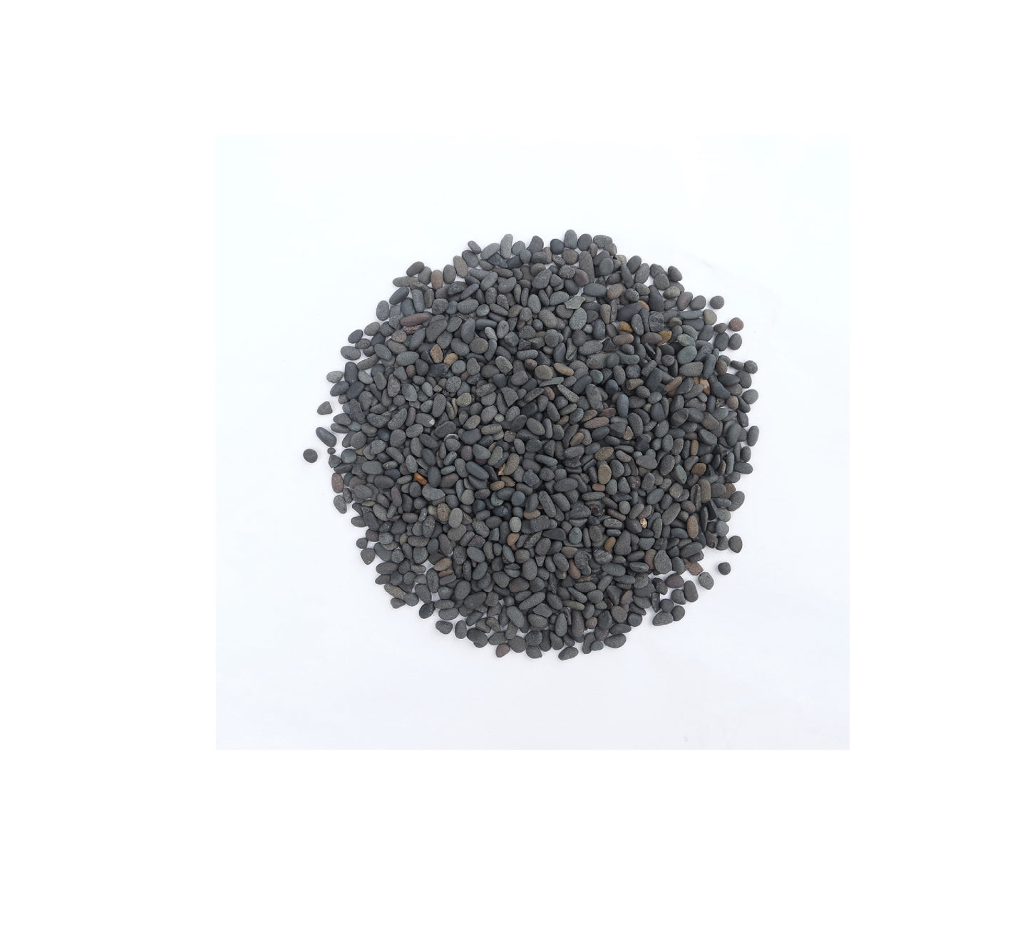 SV Tropical Rain Forest Gravel 2-5mm - 8kg