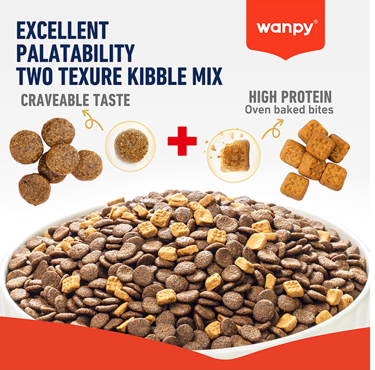 WANPY Grain Free Complete Food for Adult Cat – Salmon Recipe
