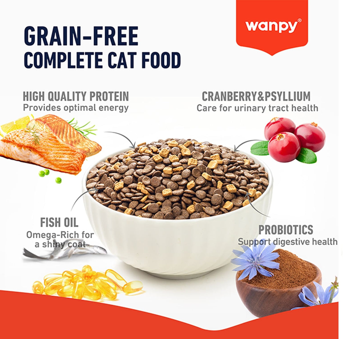 WANPY Grain Free Complete Food for Adult Cat – Salmon Recipe