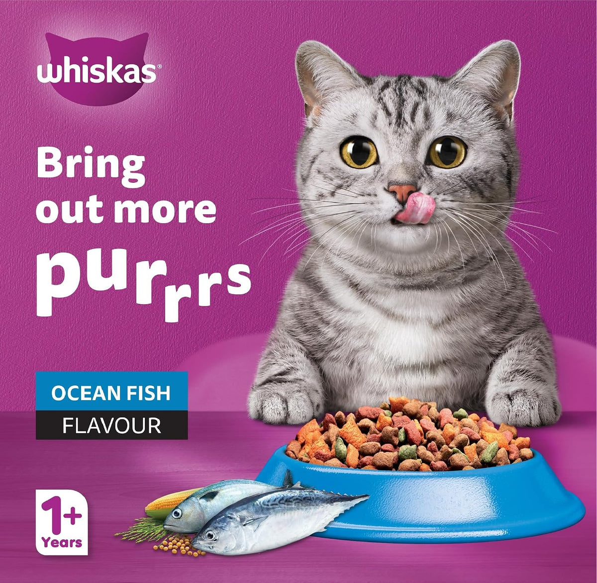 WHISKAS Adult Ocean Fish Dry Cat Food