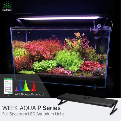 WEEK AQUA P600 Pro